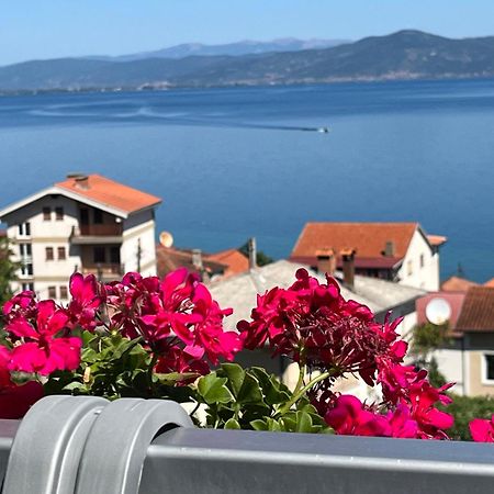 Vila Vista Magica Radozda Struga Exterior photo