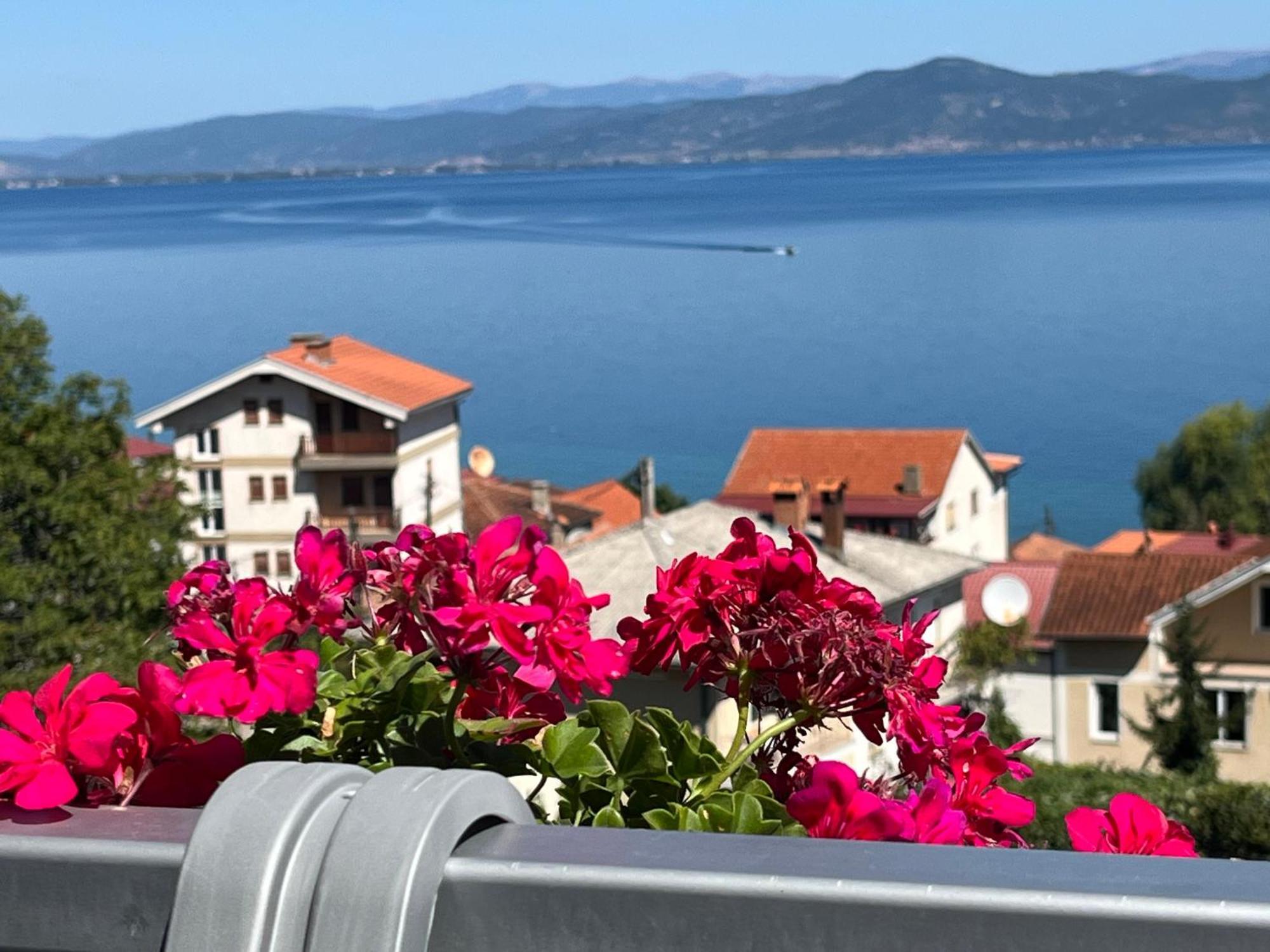 Vila Vista Magica Radozda Struga Exterior photo